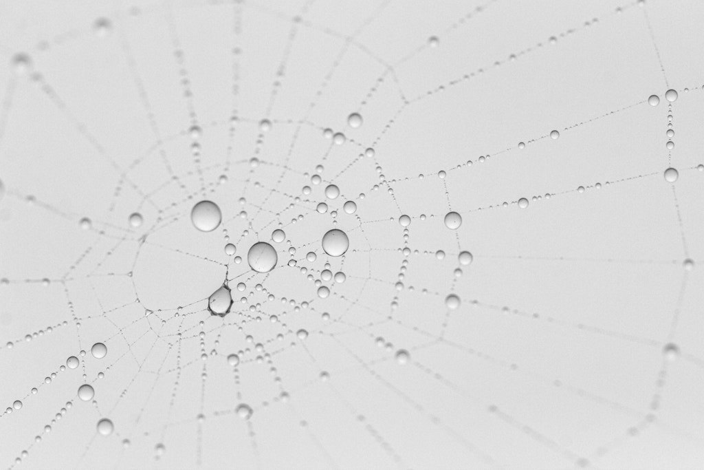 Sigma APO Macro 150mm f/2.8 EX DG HSM sample photo. Gotas de lluvia apresadas - captured raindrops photography