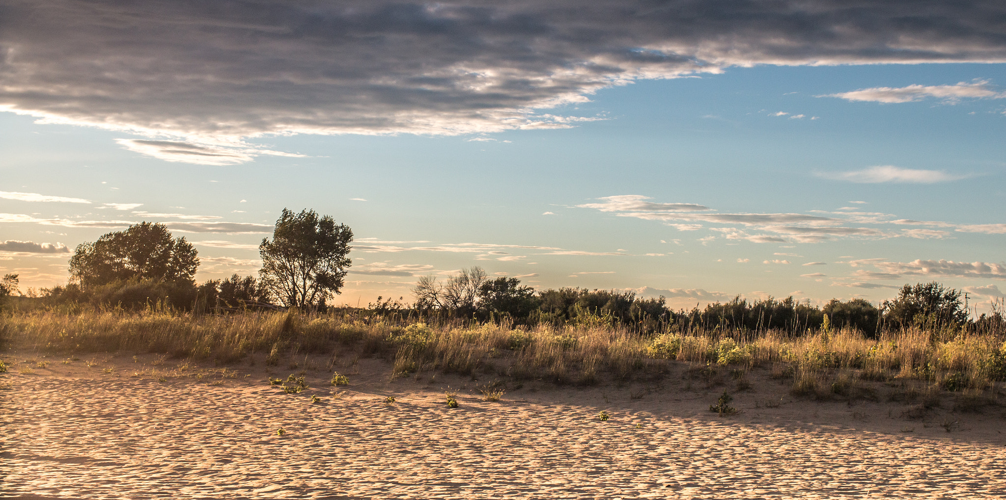 Canon EOS 70D + Canon EF 35mm F1.4L USM sample photo. Beach vista iv photography