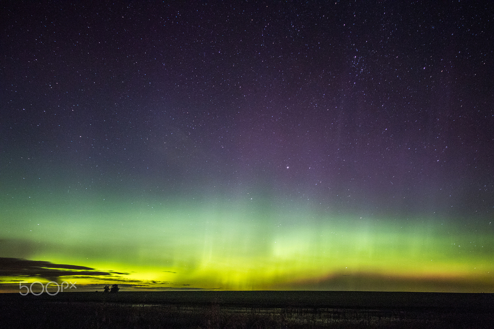 Canon EOS 80D + Sigma 10-20mm F4-5.6 EX DC HSM sample photo. Canadian aurora photography