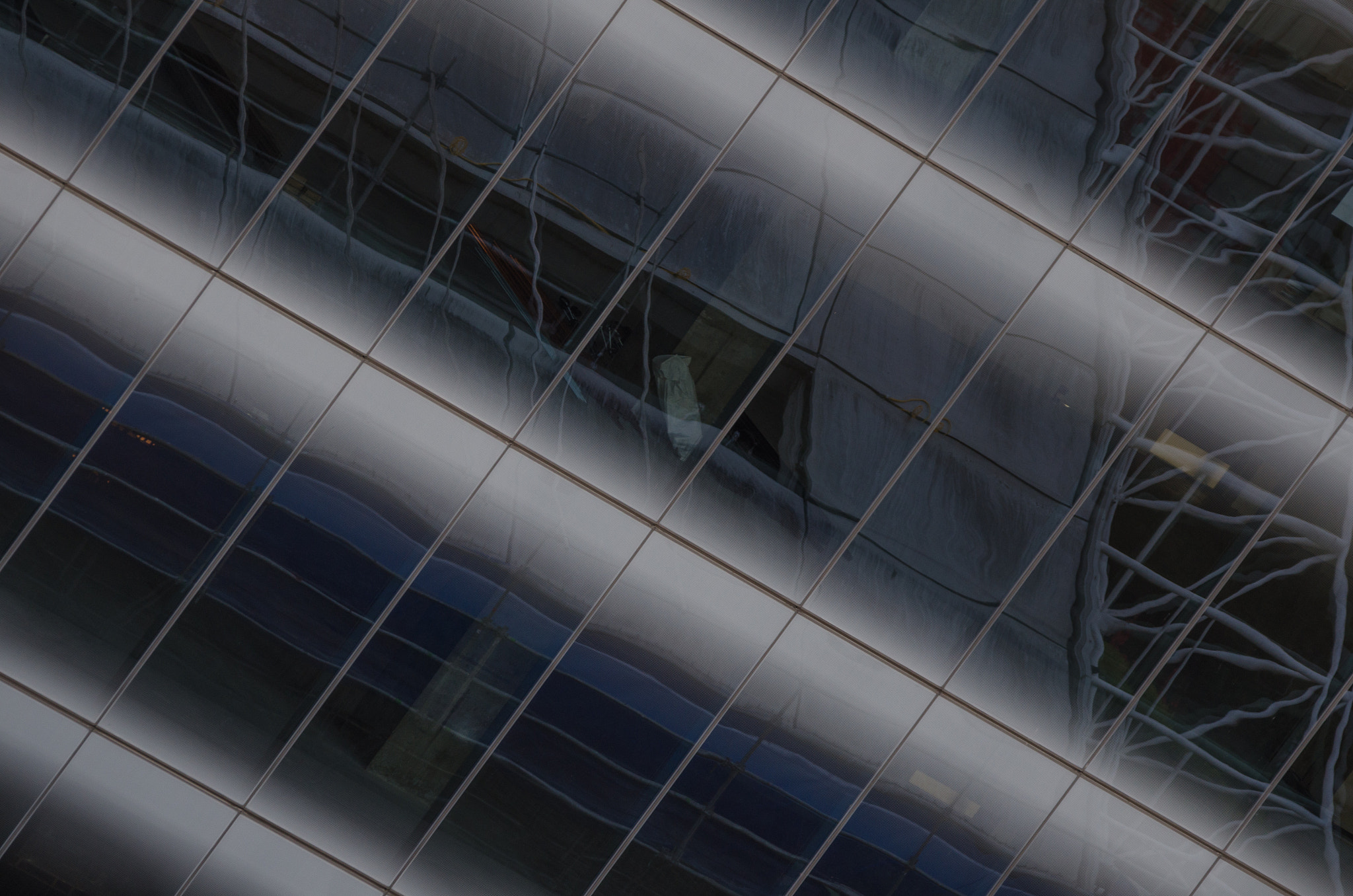 Sigma 150-600mm F5-6.3 DG OS HSM | C sample photo. Windows photography