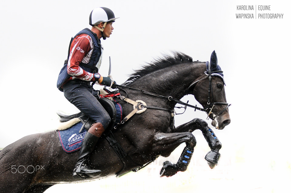 Nikon D300S sample photo. Focus: xc photography