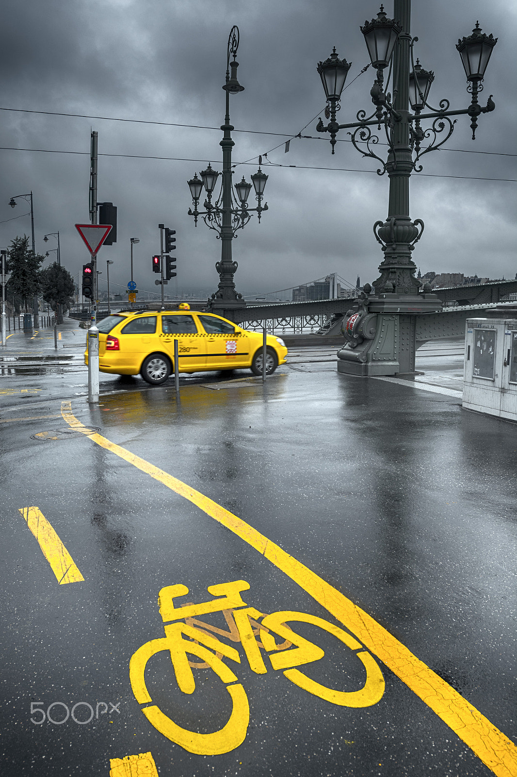 Nikon AF-S Nikkor 17-35mm F2.8D ED-IF sample photo. Yellow is a king today photography