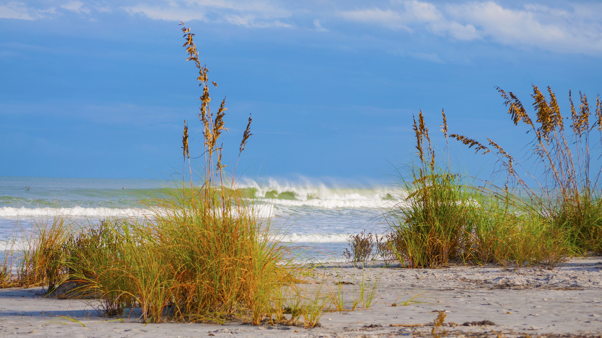 Nikon D300S sample photo. Crashing waves photography