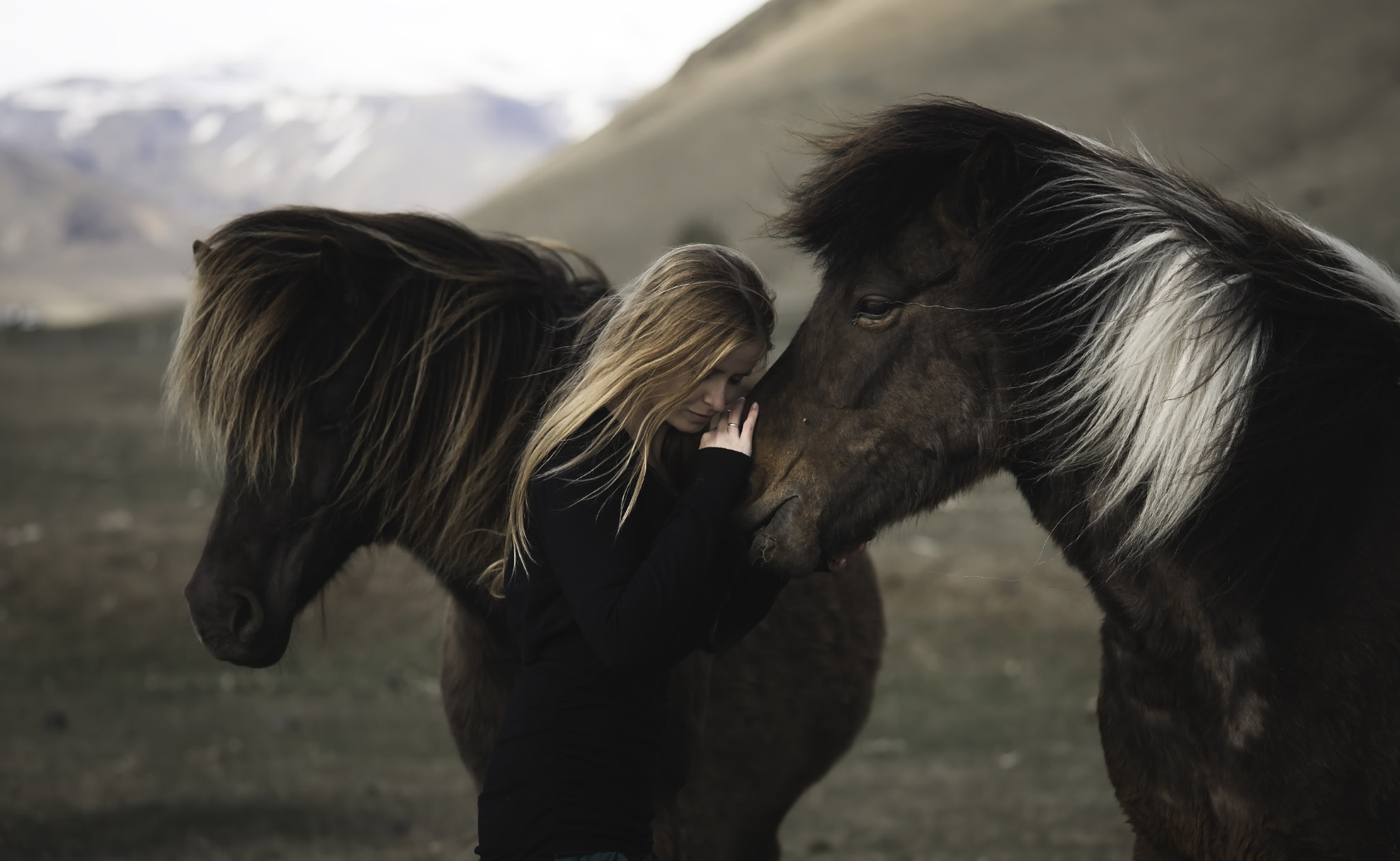 Sony Alpha DSLR-A900 + Sony 85mm F2.8 SAM sample photo. Icelandic friends photography