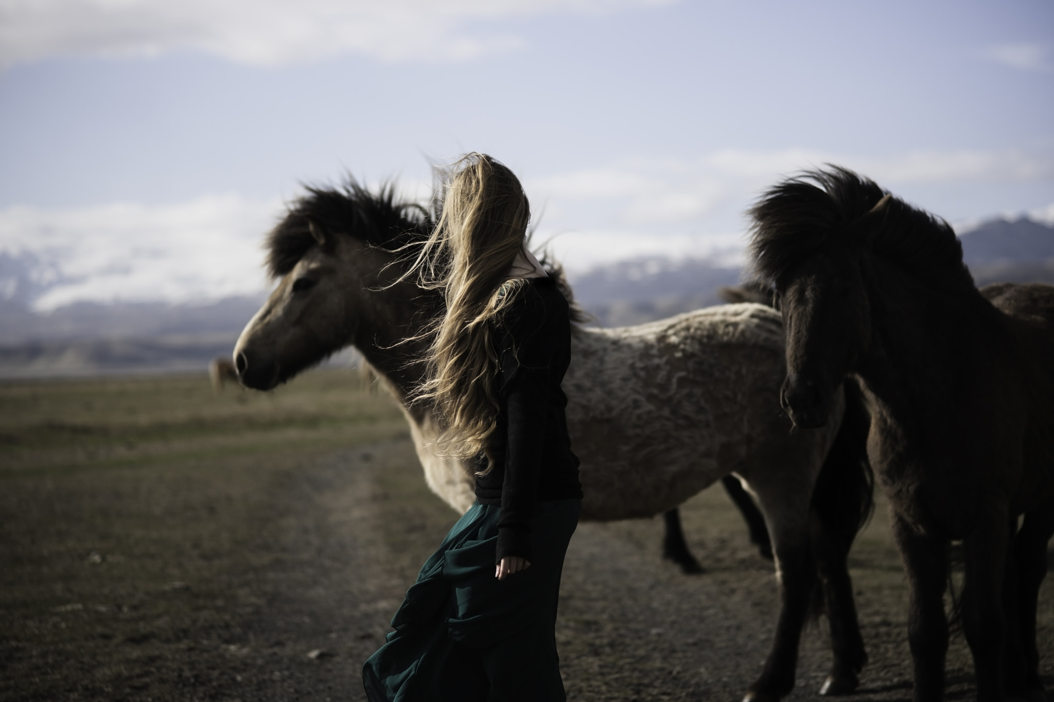 Sony Alpha DSLR-A900 + Sony 85mm F2.8 SAM sample photo. Icelandic friends photography