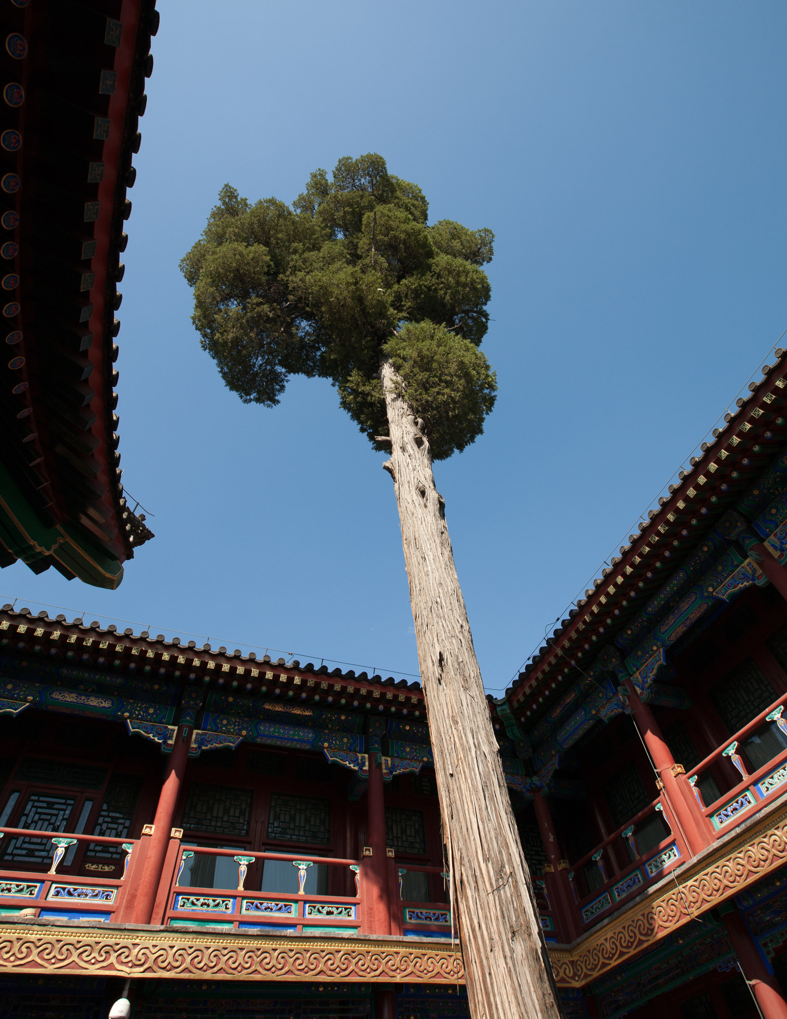 Canon EF 16-35mm F2.8L II USM sample photo. Prince gong's mansion photography