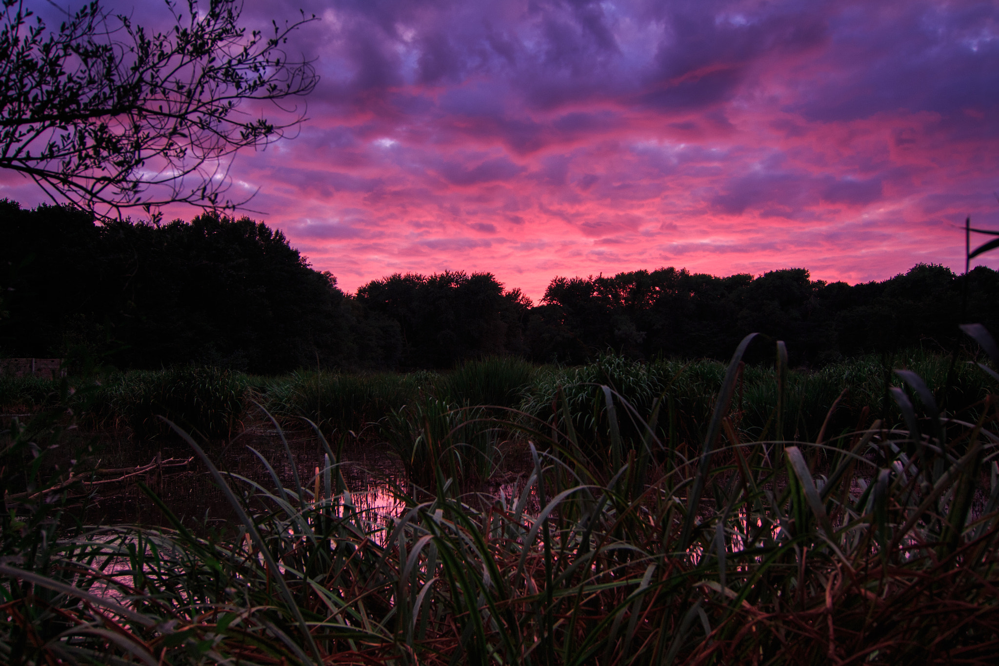 Tokina AT-X Pro 12-24mm F4 (IF) DX sample photo. Fire sky - bakkum noord photography