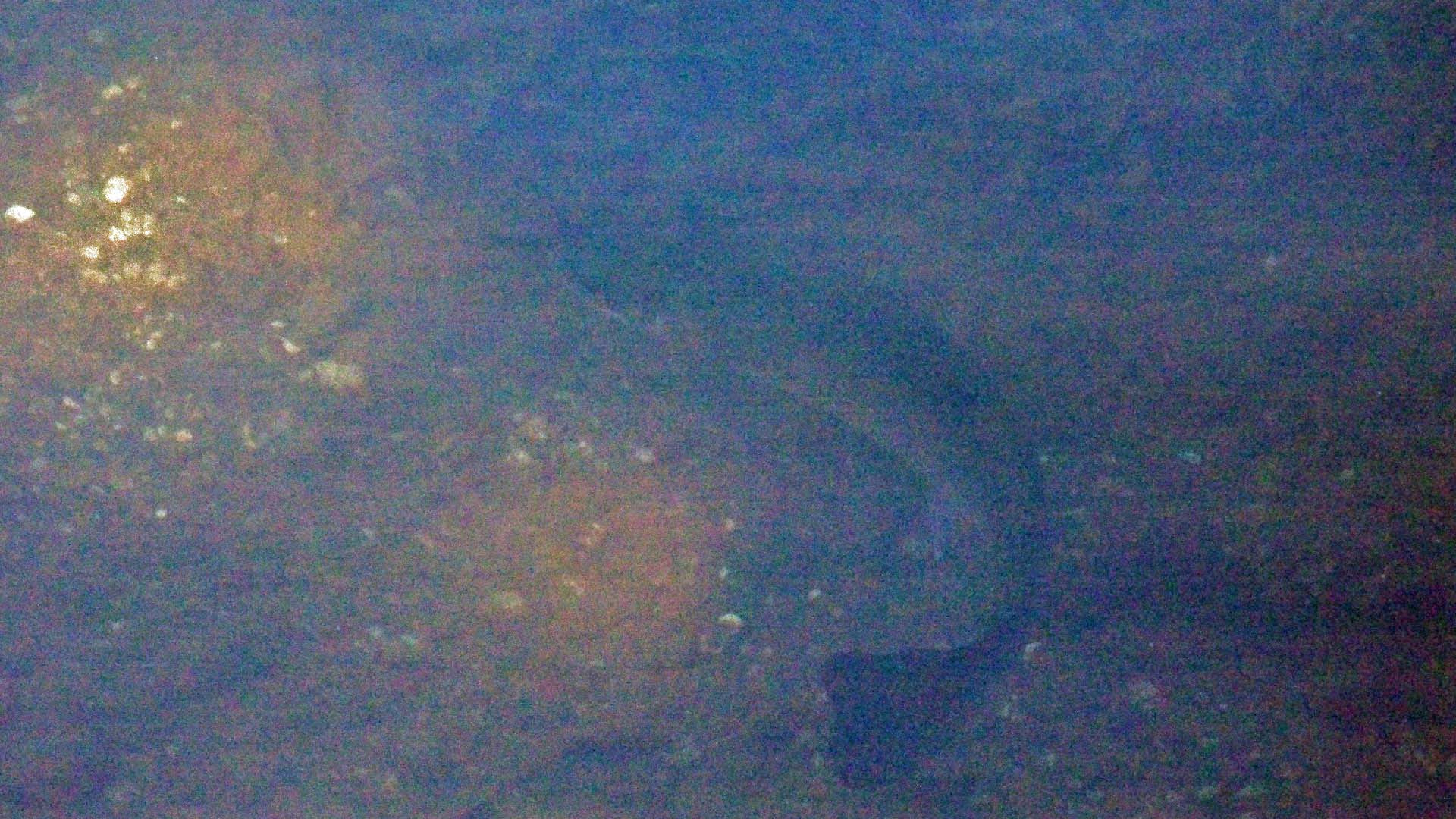 Kodak Z1275 ZOOM DIGITAL CAMERA sample photo. Fishy, fishy in the brook photography