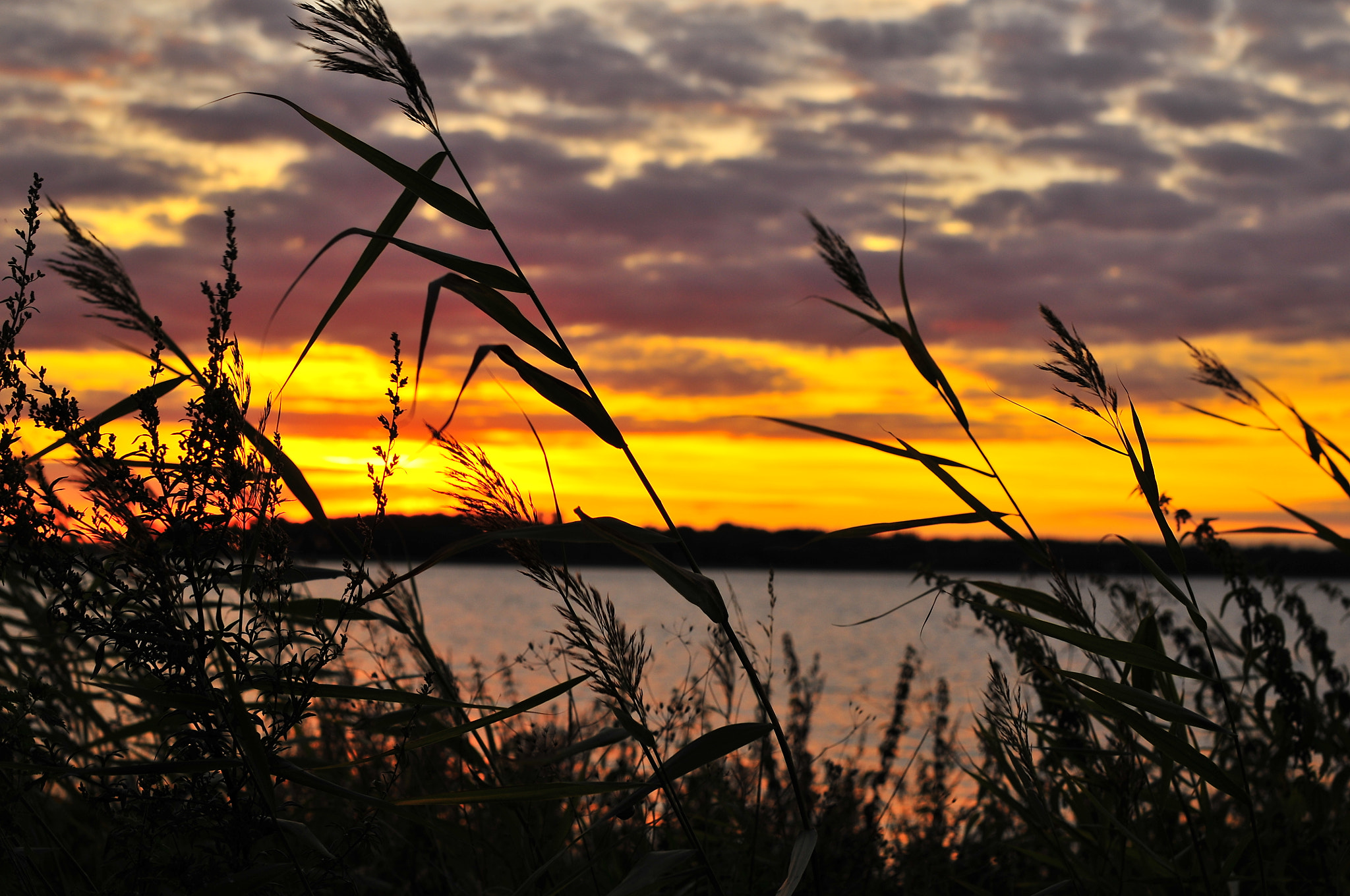 Nikon D300 + Sigma 50mm F1.4 EX DG HSM sample photo. Sunset 5 photography