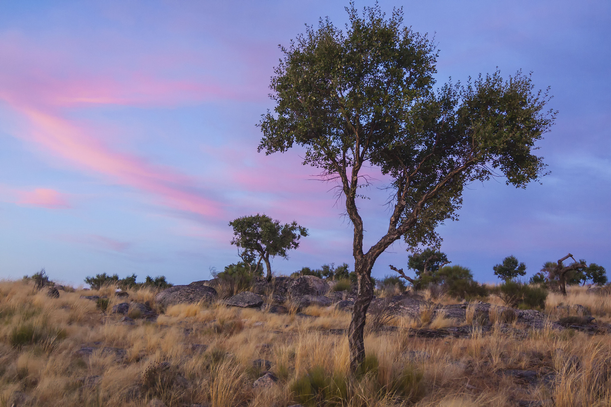 Tokina AT-X Pro 12-24mm F4 (IF) DX sample photo. Extremadura photography