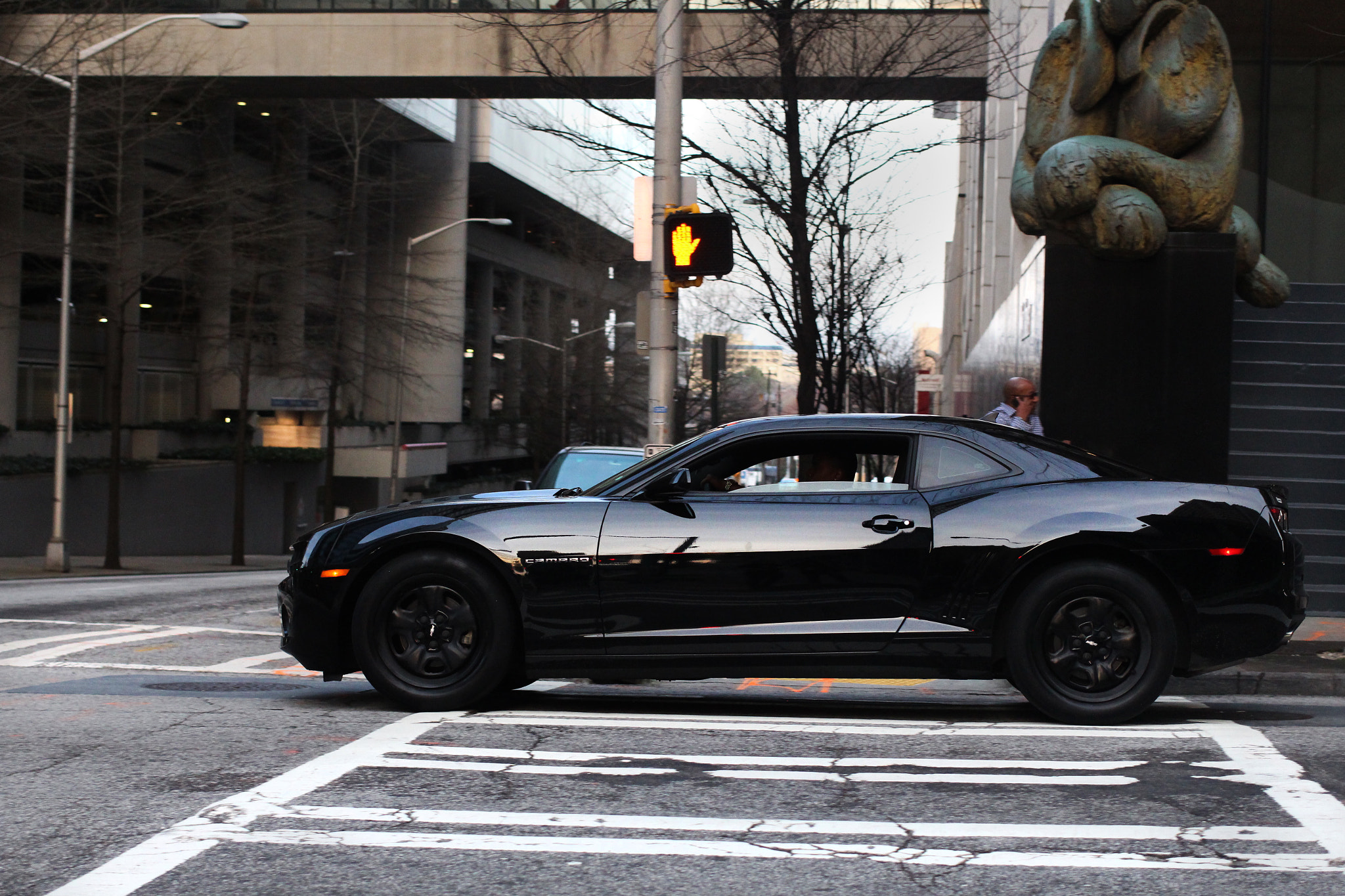 Canon EF 40mm F2.8 STM sample photo. Camaro photography