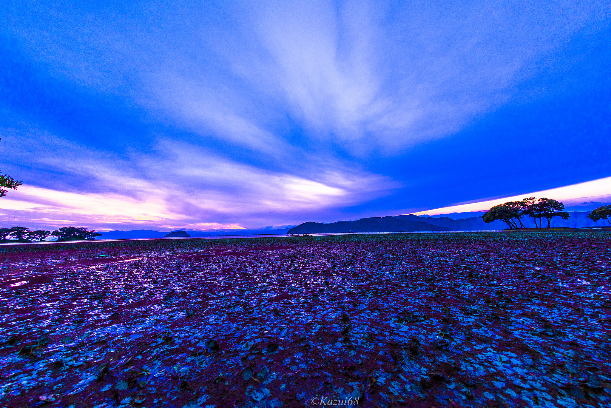 Nikon D810 + Sigma 15mm F2.8 EX DG Diagonal Fisheye sample photo. Bird's paradise photography