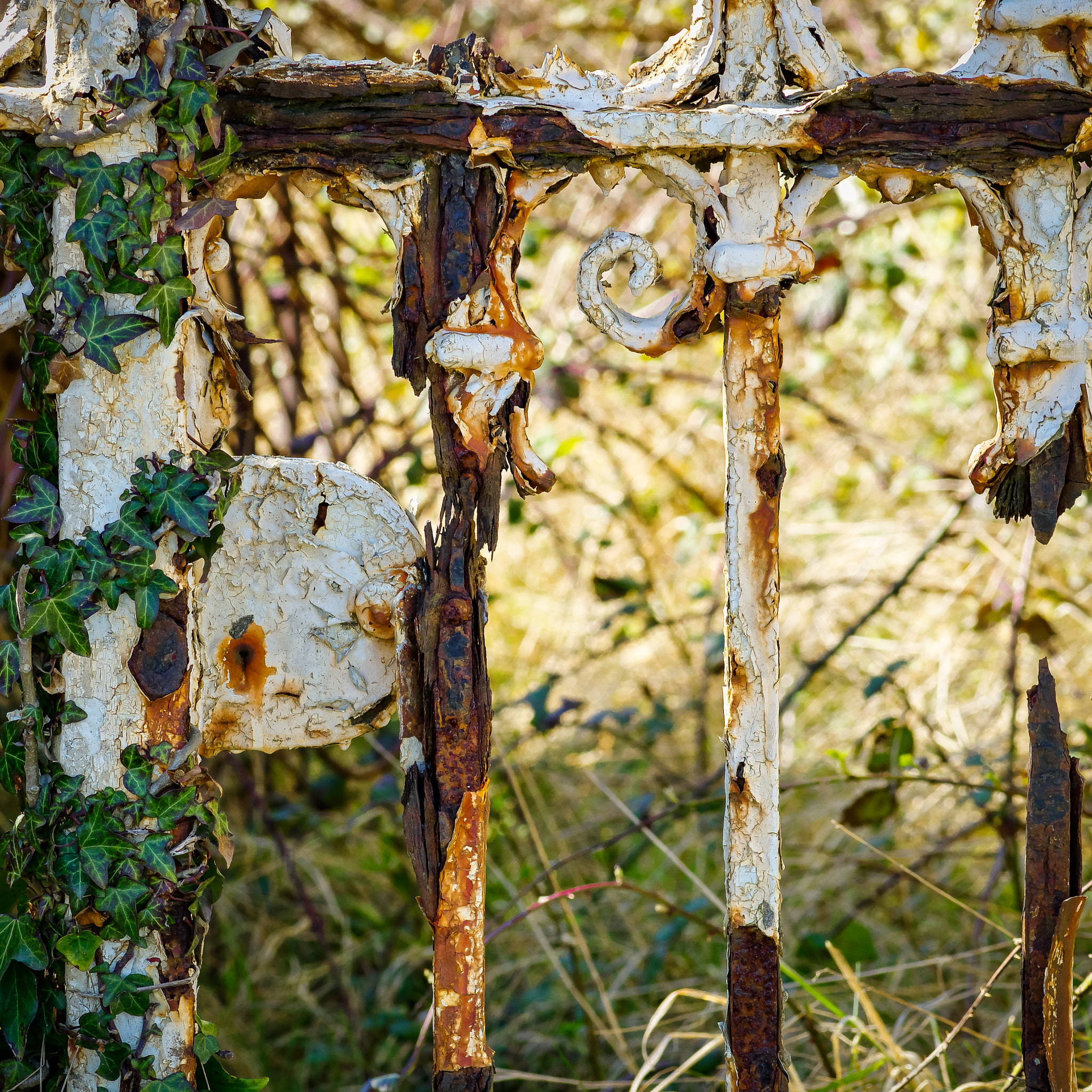 Pentax smc D-FA 100mm F2.8 macro sample photo. Decay photography