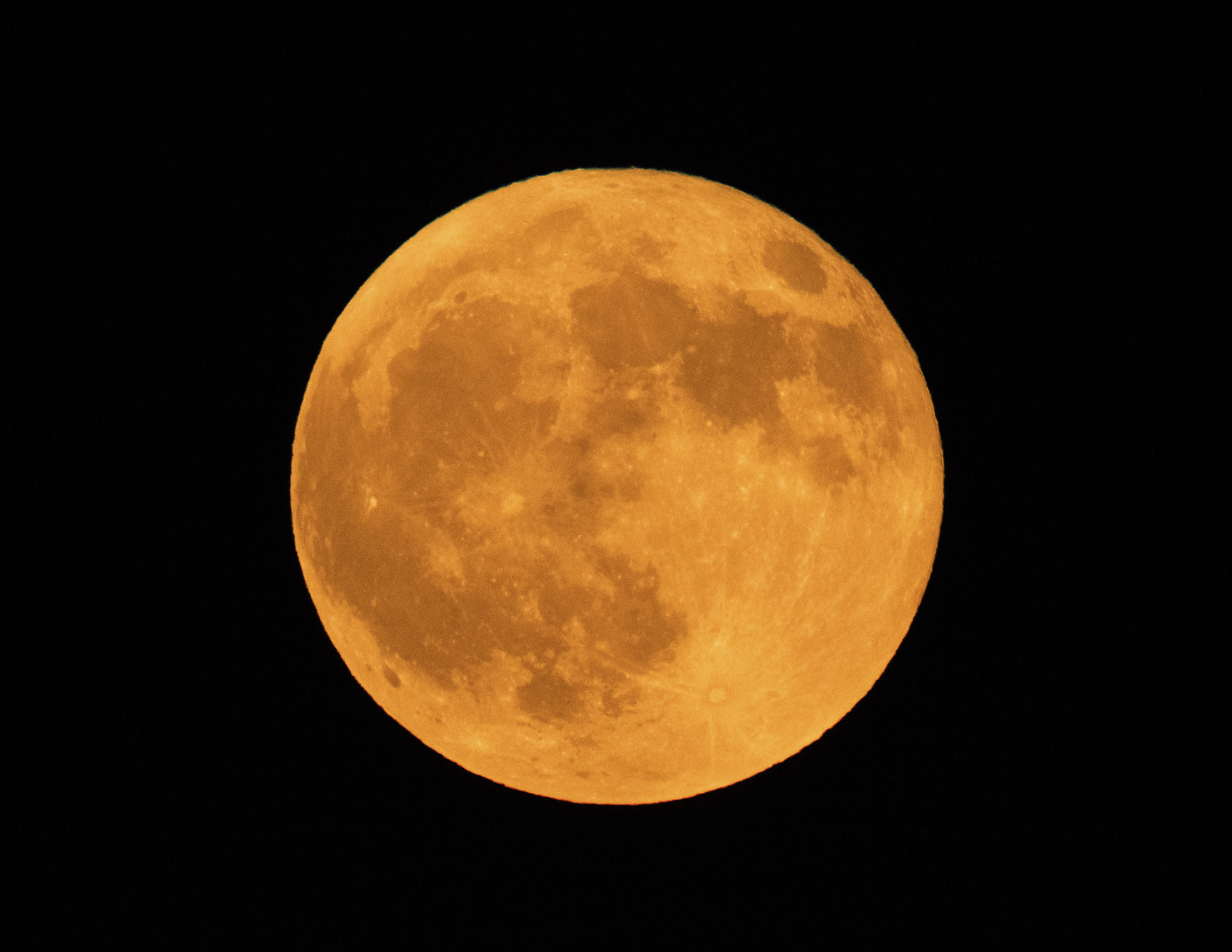 Nikon AF-S Nikkor 800mm F5.6E FL ED VR sample photo. Harvest moon photography