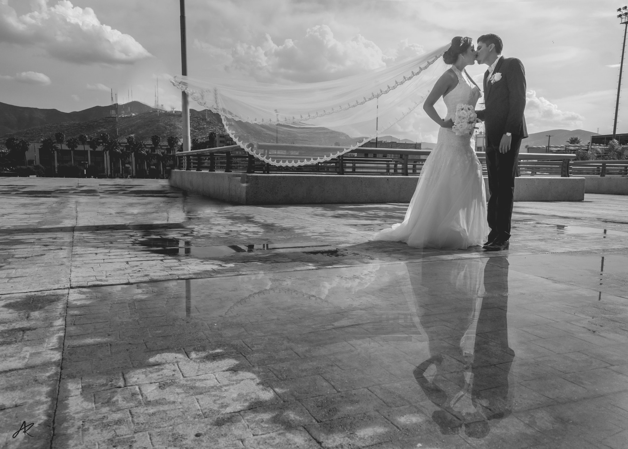 Sony SLT-A77 + Sony DT 18-55mm F3.5-5.6 SAM sample photo. Kiss at torreon photography