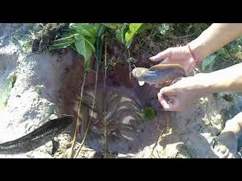 Amazing Deep Hole Fishing | How to fishing with deep hole | Cambodia Traditional Fishing