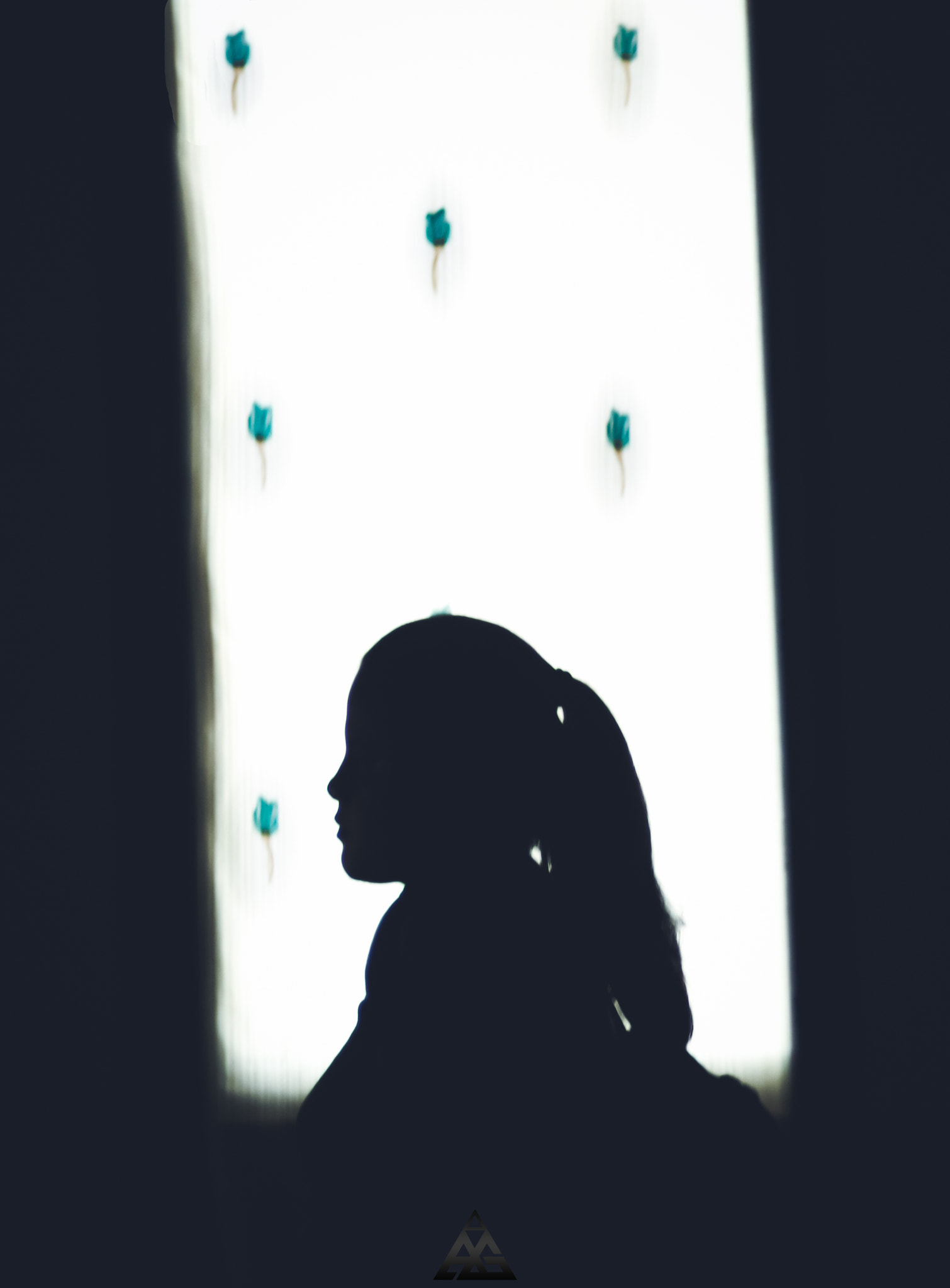 Canon EF 35-80mm f/4-5.6 sample photo. Perfil - altas luces photography