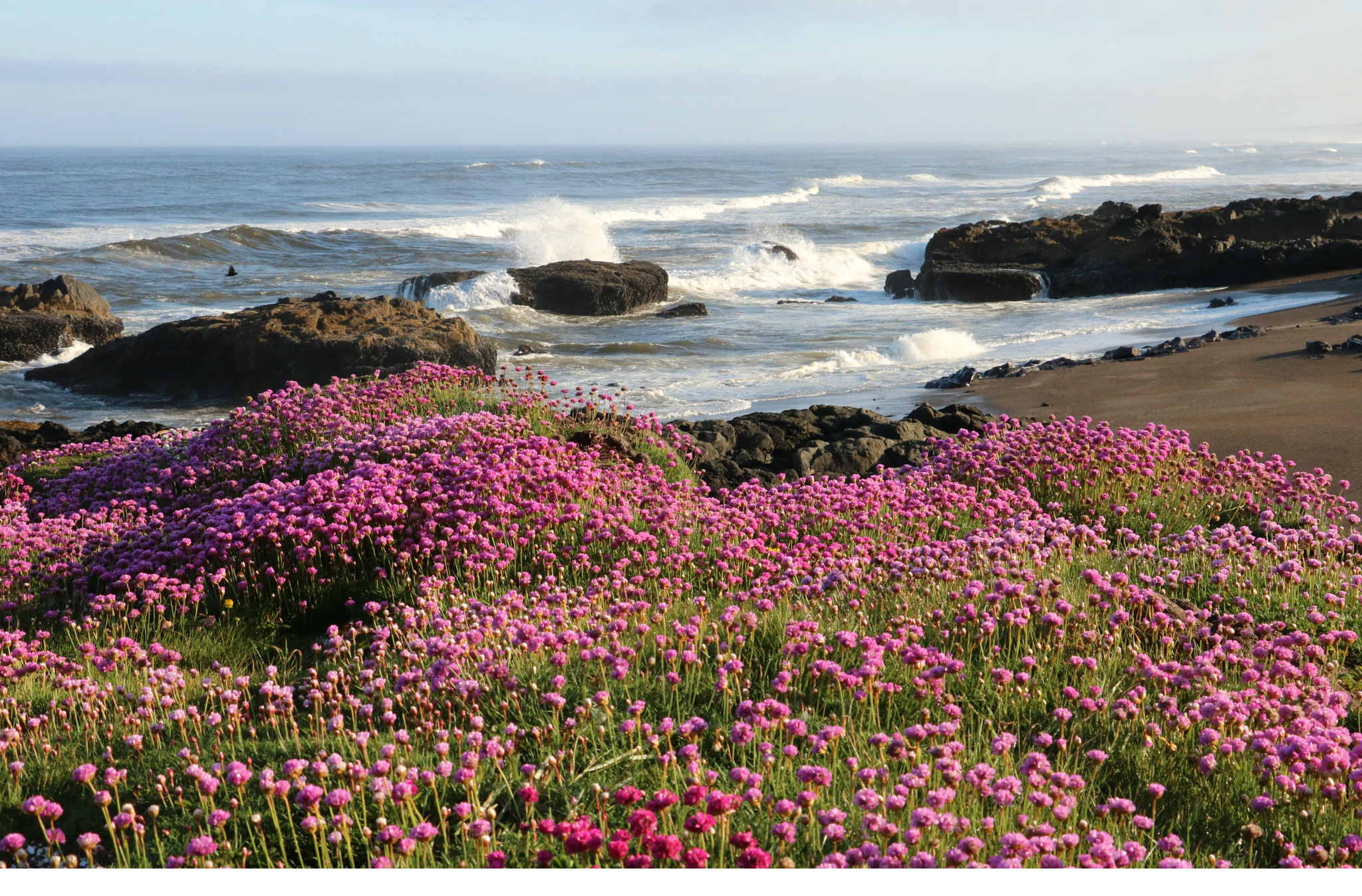 Canon EOS 760D (EOS Rebel T6s / EOS 8000D) sample photo. The surf? over the clover photography