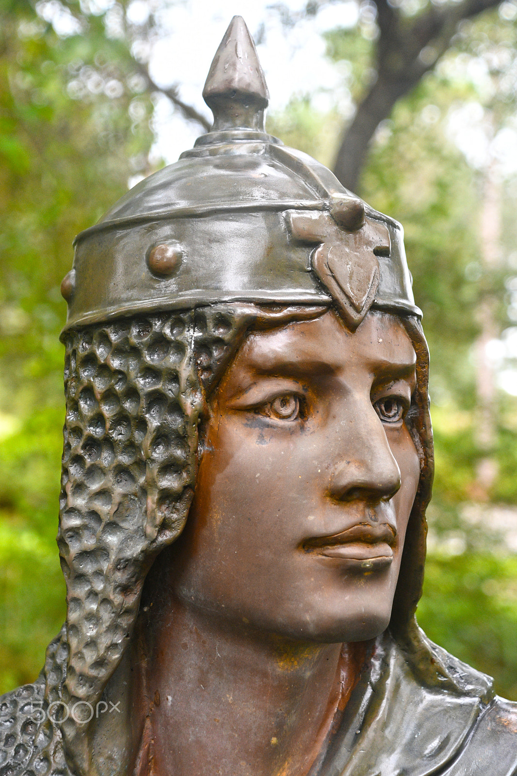 Nikon D500 sample photo. Knight of the marina photography