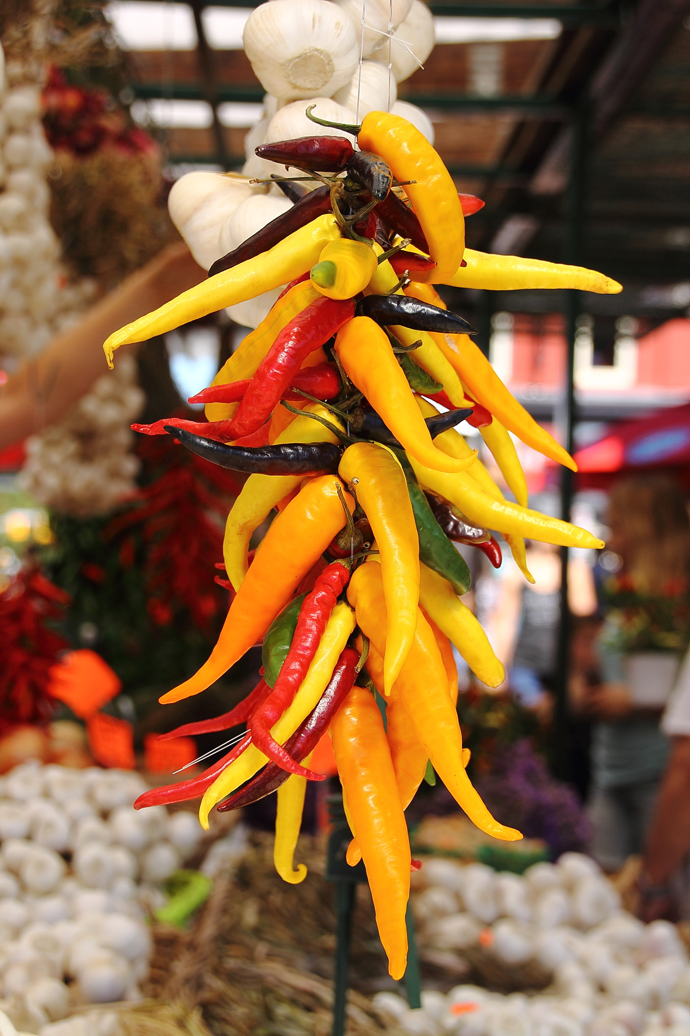 Sigma 18-250mm F3.5-6.3 DC OS HSM sample photo. Spicy photography