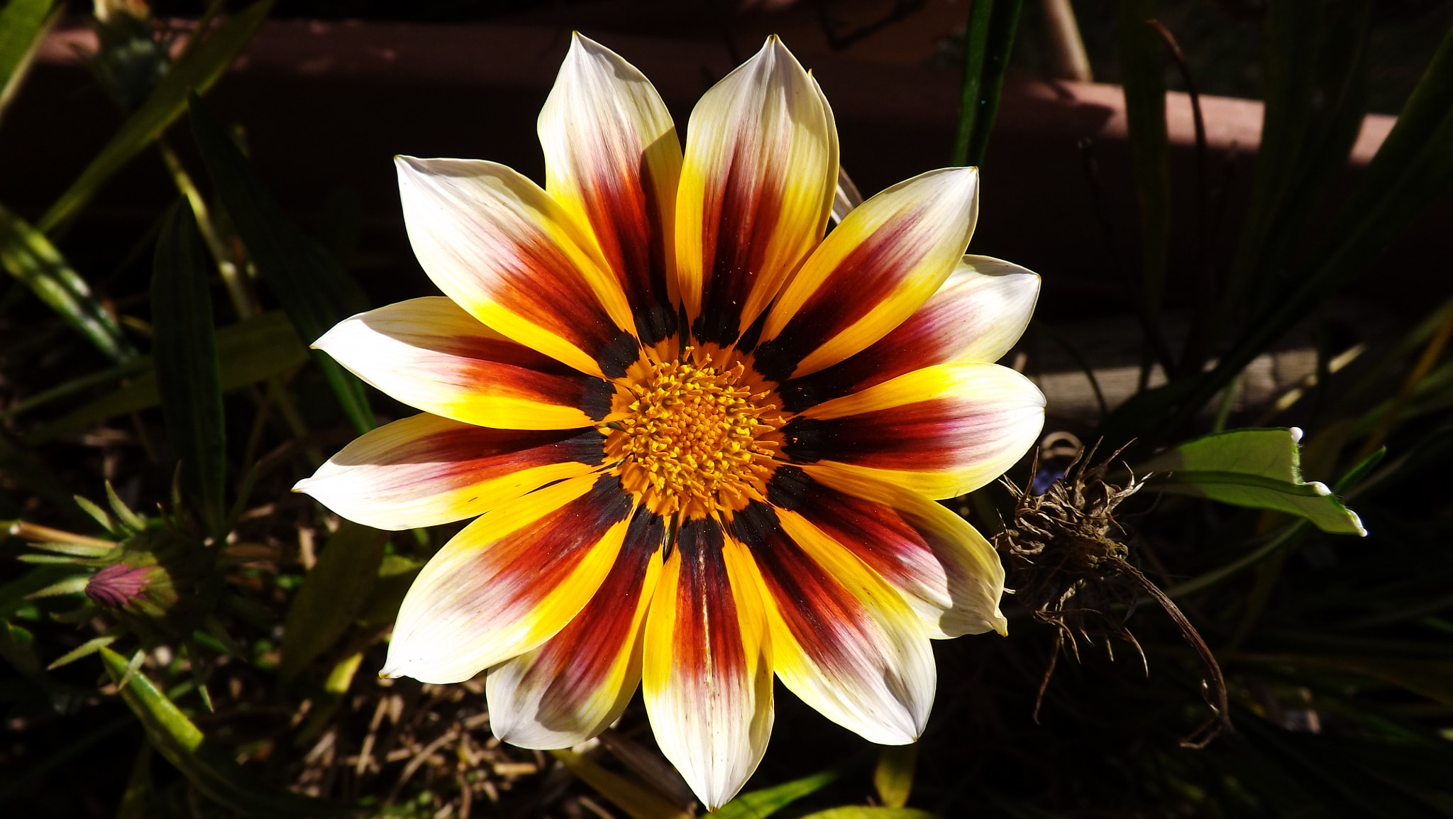 Fujifilm FinePix SL300 sample photo