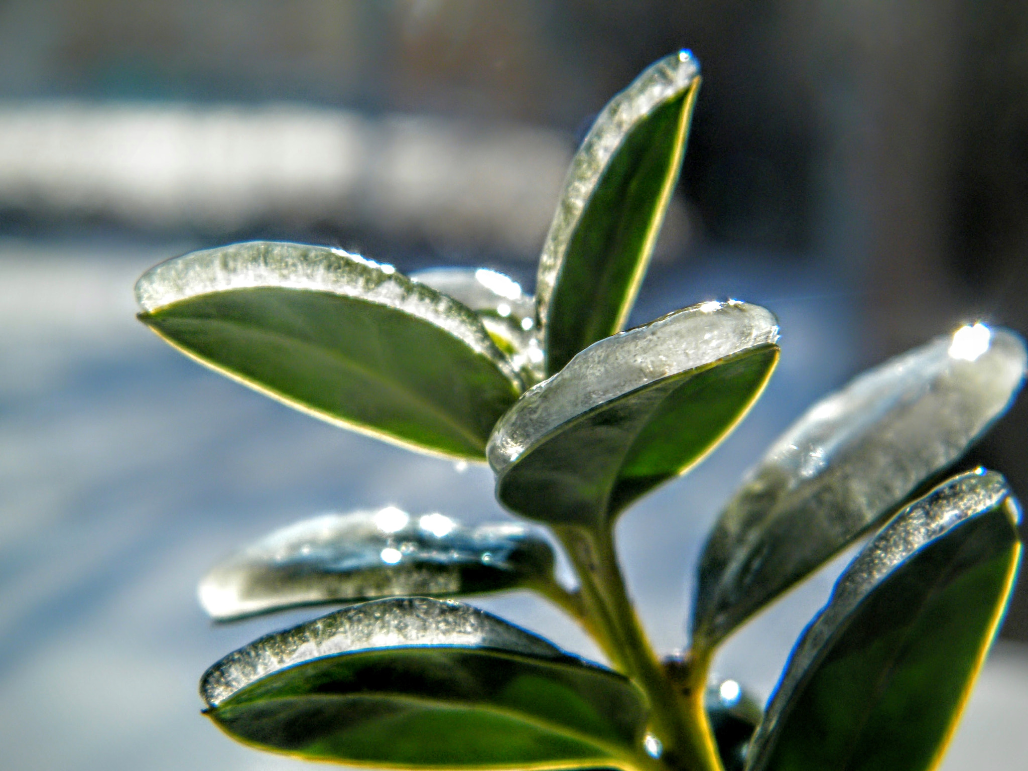 Fujifilm FinePix S2000HD sample photo