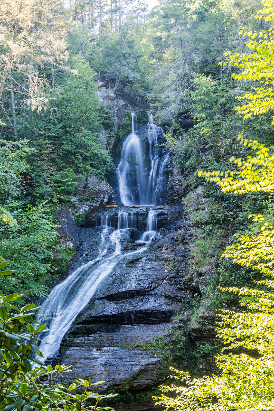 Nikon AF-S Nikkor 18-35mm F3.5-4.5G ED sample photo. Dingman falls photography