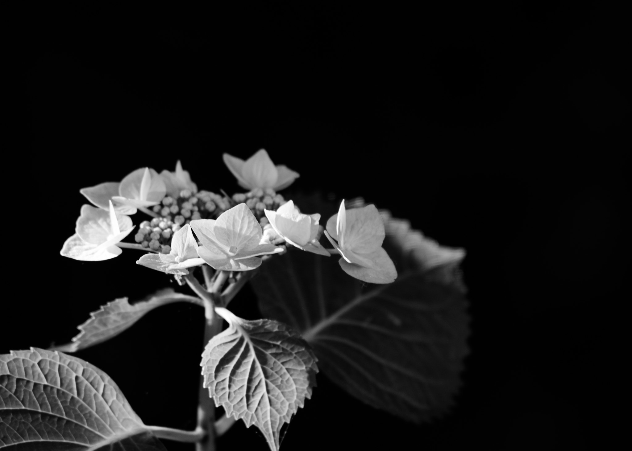 Pentax K-1 sample photo. Imgp0315-2.jpg photography
