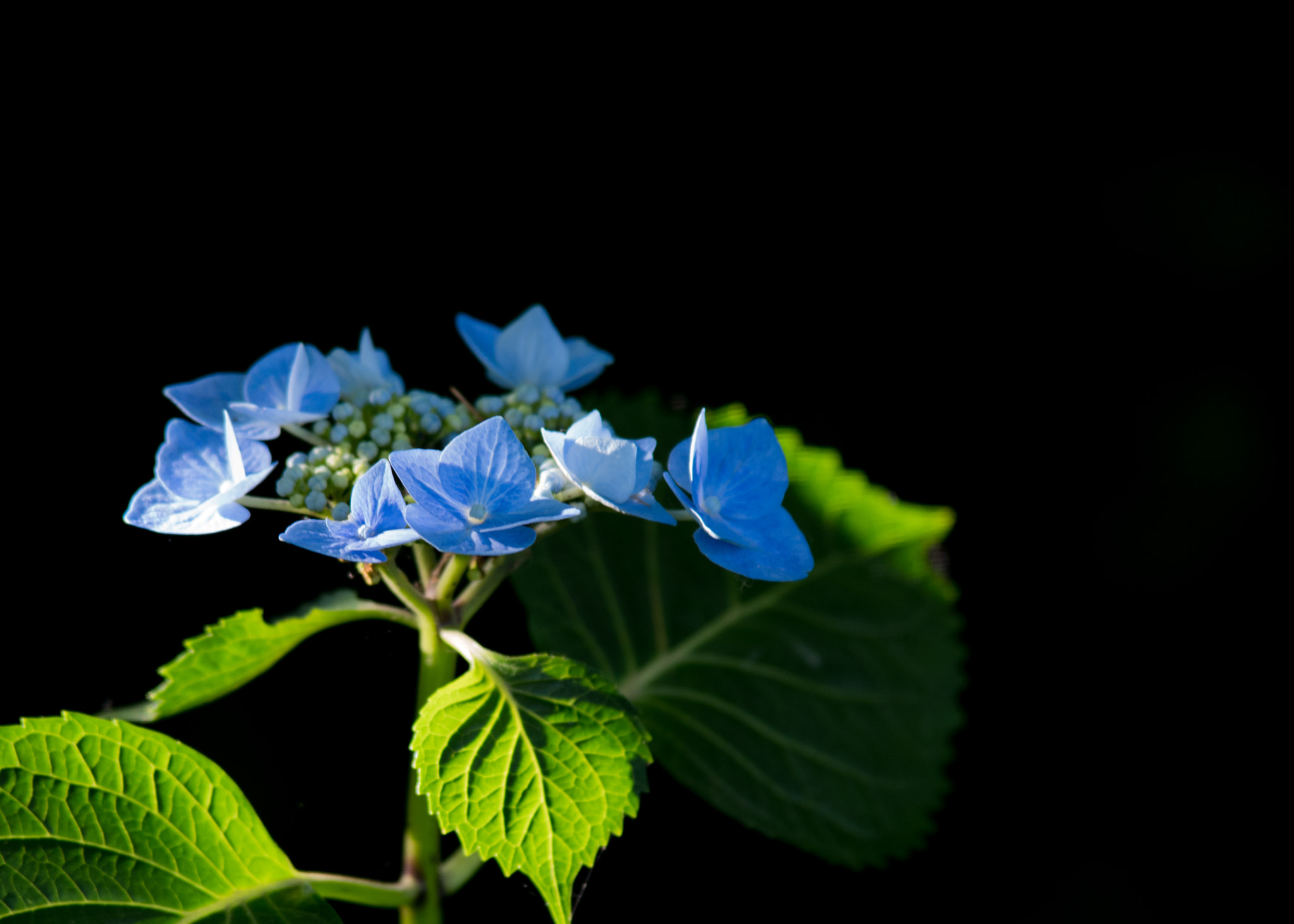 Pentax K-1 sample photo. Imgp photography
