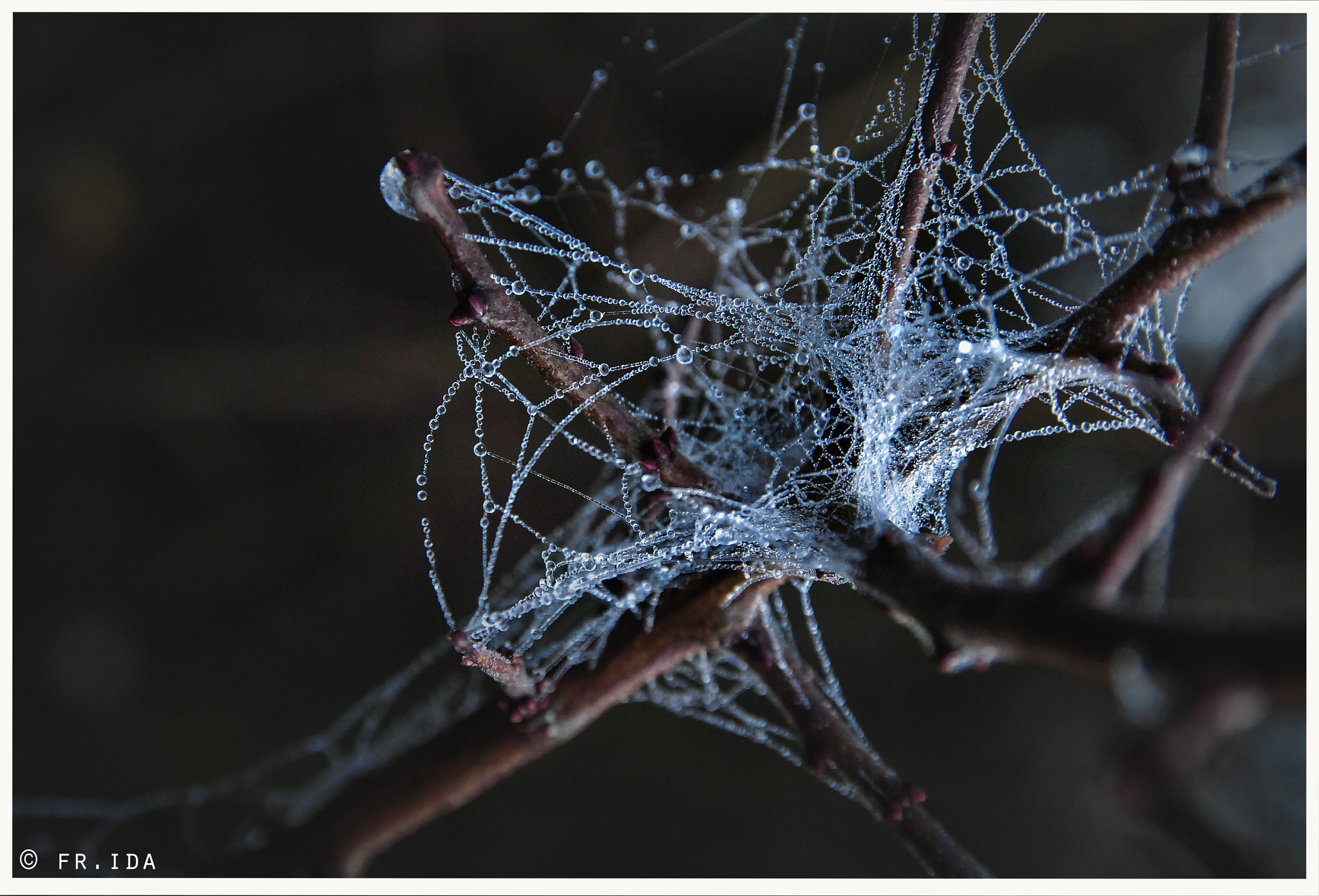 Nikon D60 sample photo. // n e b e l t a g e //  photography