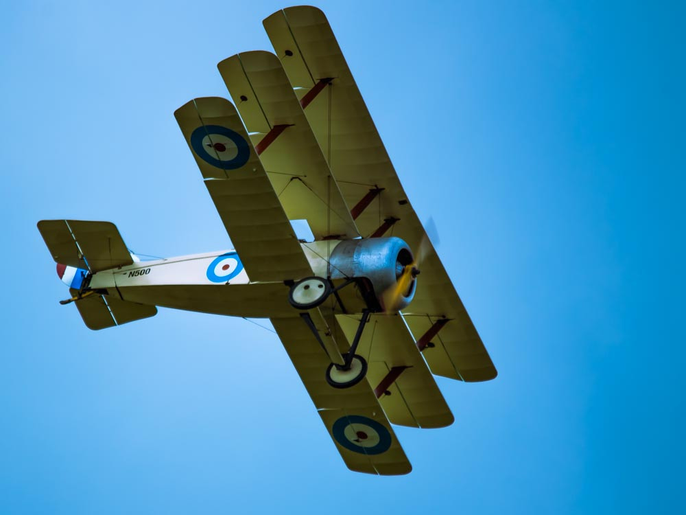 Sigma 150-500mm F5-6.3 DG OS HSM sample photo. Tri plane photography