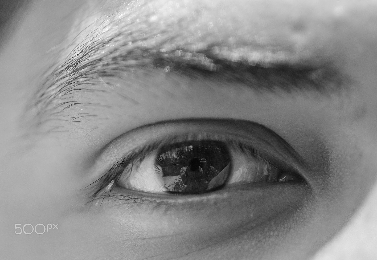 Canon EOS 60D + Canon EF 50mm F2.5 Macro sample photo. Ojo photography