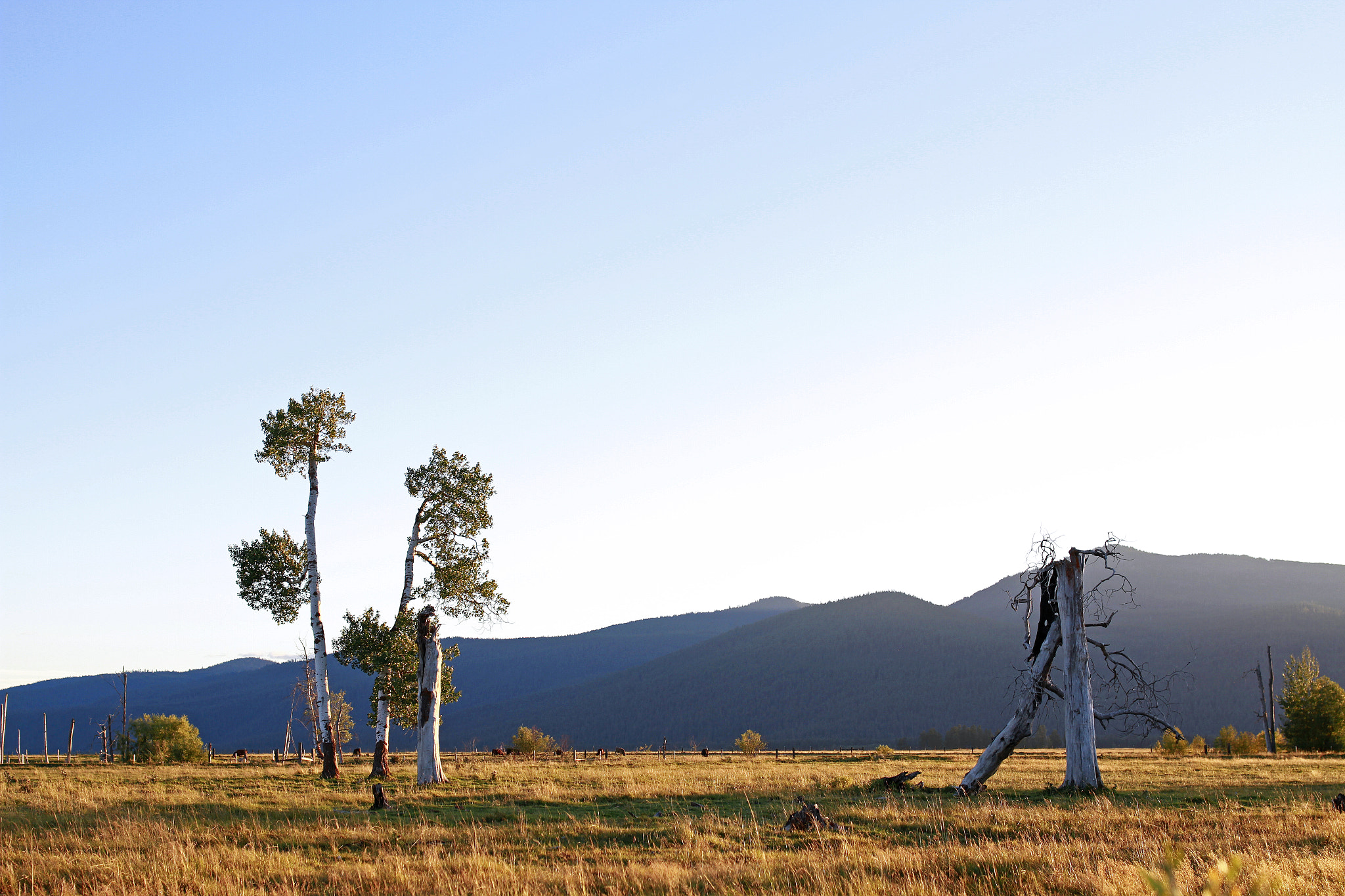 Canon EF 35mm F1.4L II USM sample photo. Sunset photography