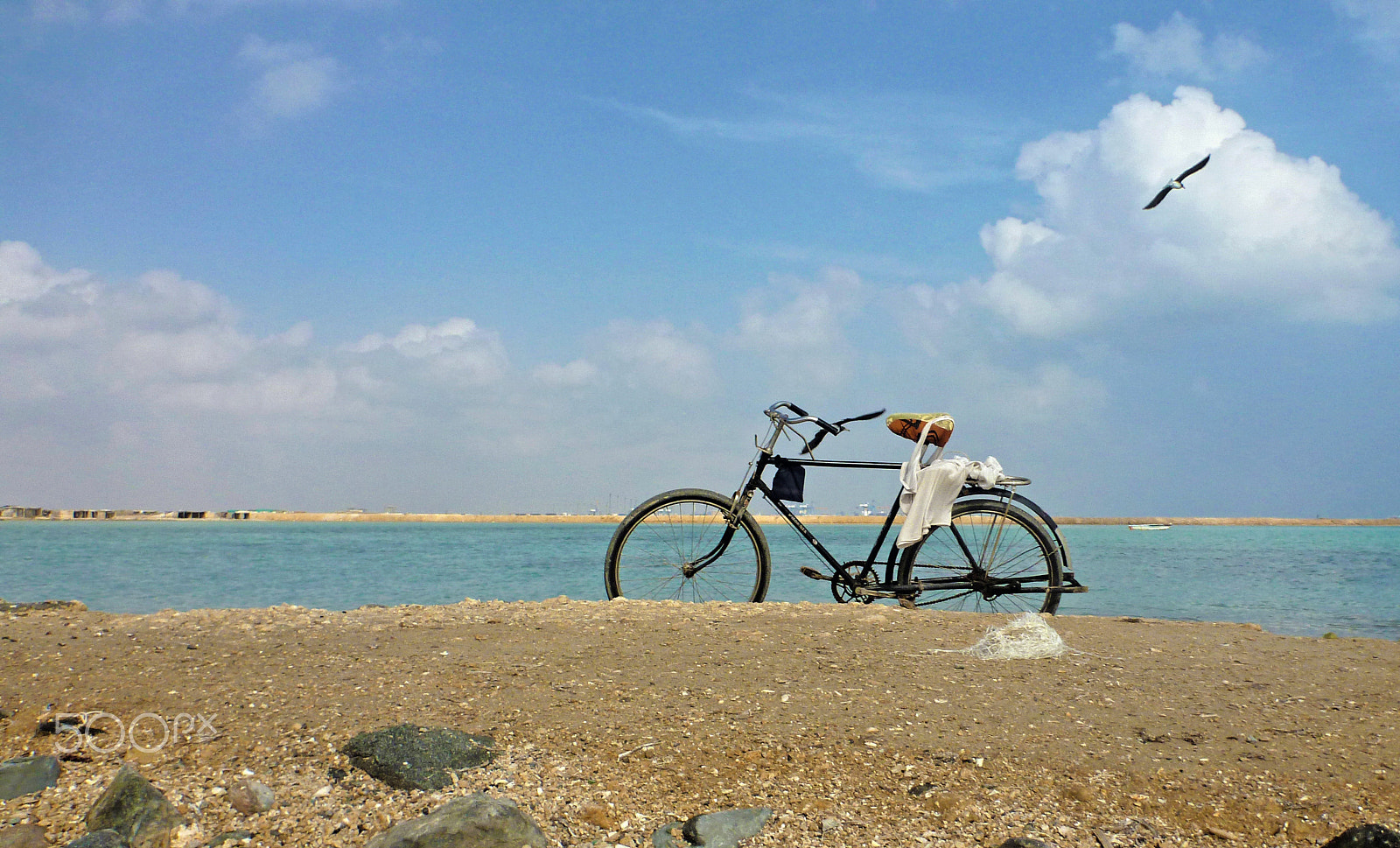 Panasonic DMC-FT3 sample photo. Sunny day on beach photography