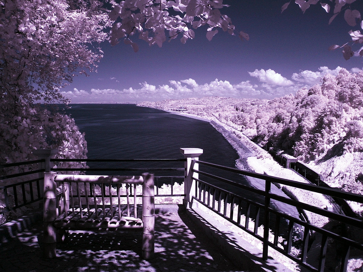 Fujifilm FinePix E550 sample photo. Infrared silence photography