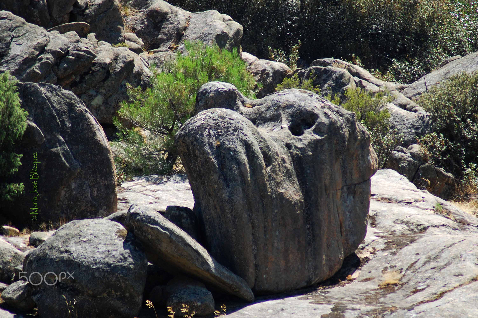 Nikon D40 sample photo. El reposo del aguila photography