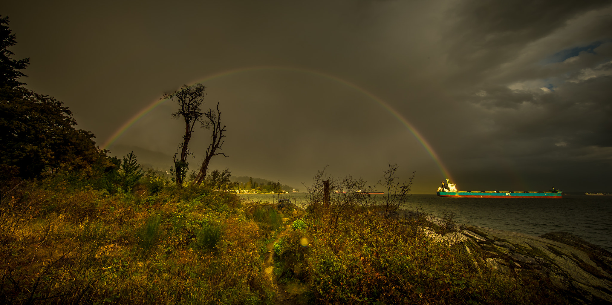 Canon EOS-1D X + Canon EF 11-24mm F4L USM sample photo. Rainbow after  thunderstorms photography