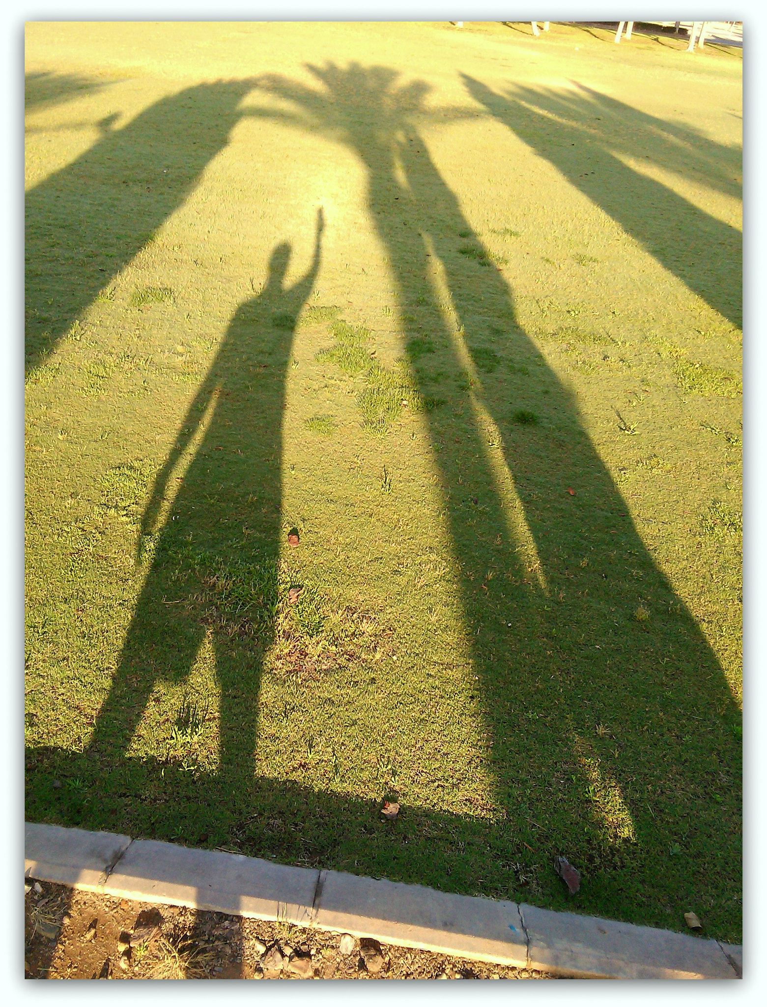 HUAWEI G620S-L01 sample photo. ........... photography