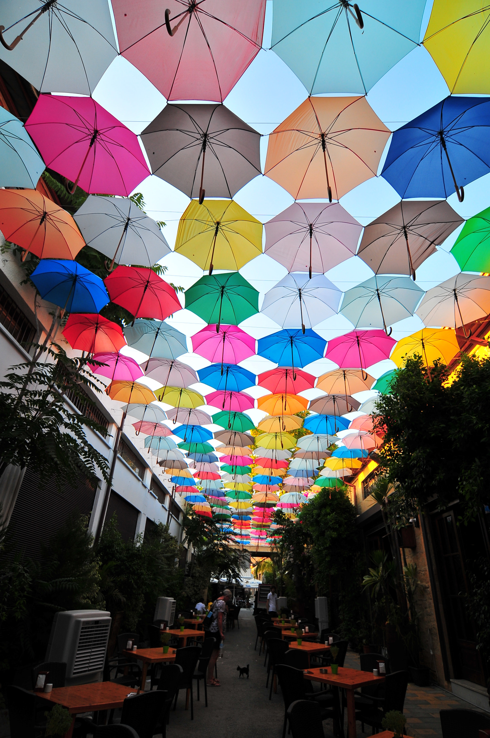 Nikon D300 sample photo. Umbrella roof photography