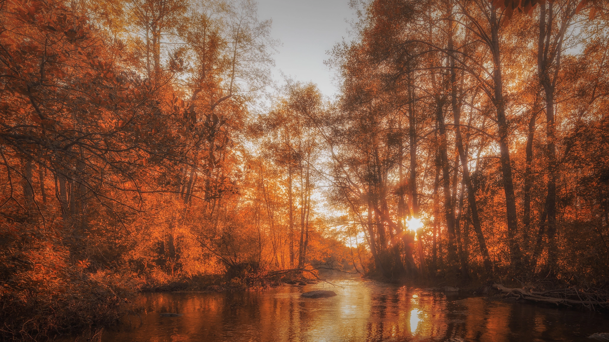 Nikon D3 sample photo. Autumn sunset photography