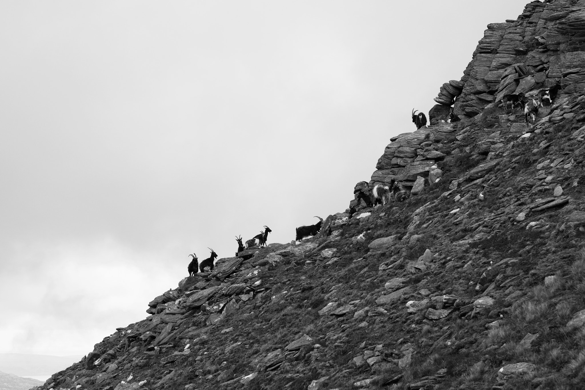 Fujifilm XF 56mm F1.2 R sample photo. On a mountain side photography
