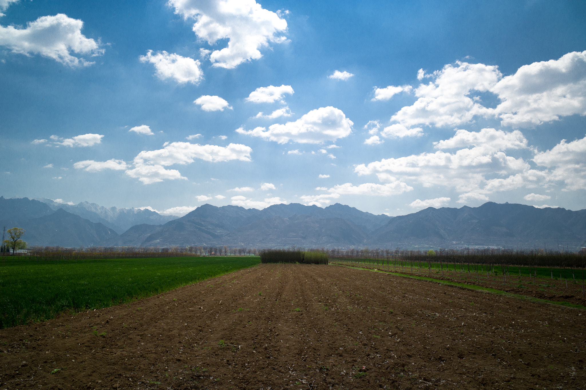 Leica Elmarit-M 28mm F2.8 ASPH sample photo. Shaanxi，chn photography