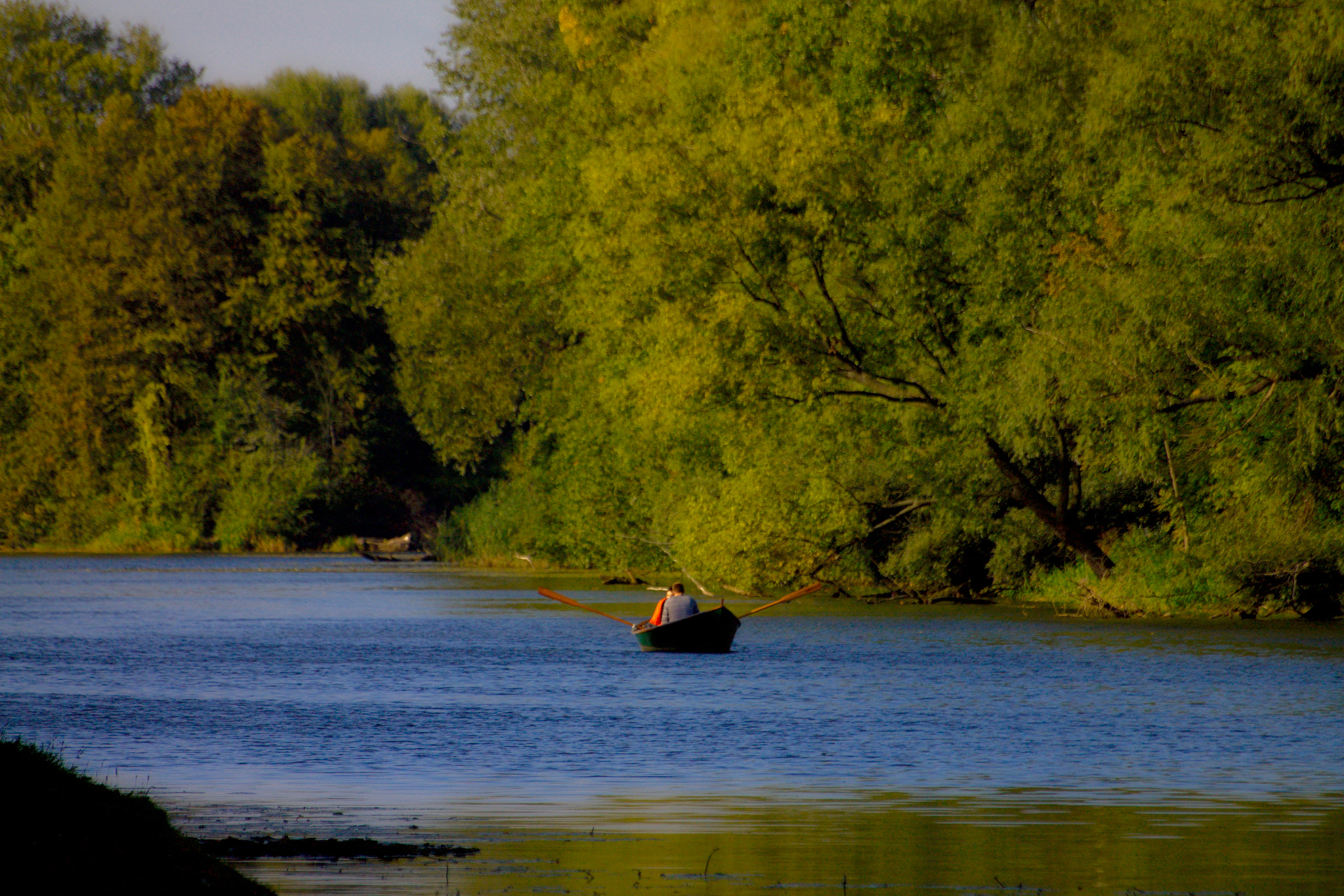 Sigma 70-300mm F4-5.6 APO DG Macro sample photo. Wilanów photography