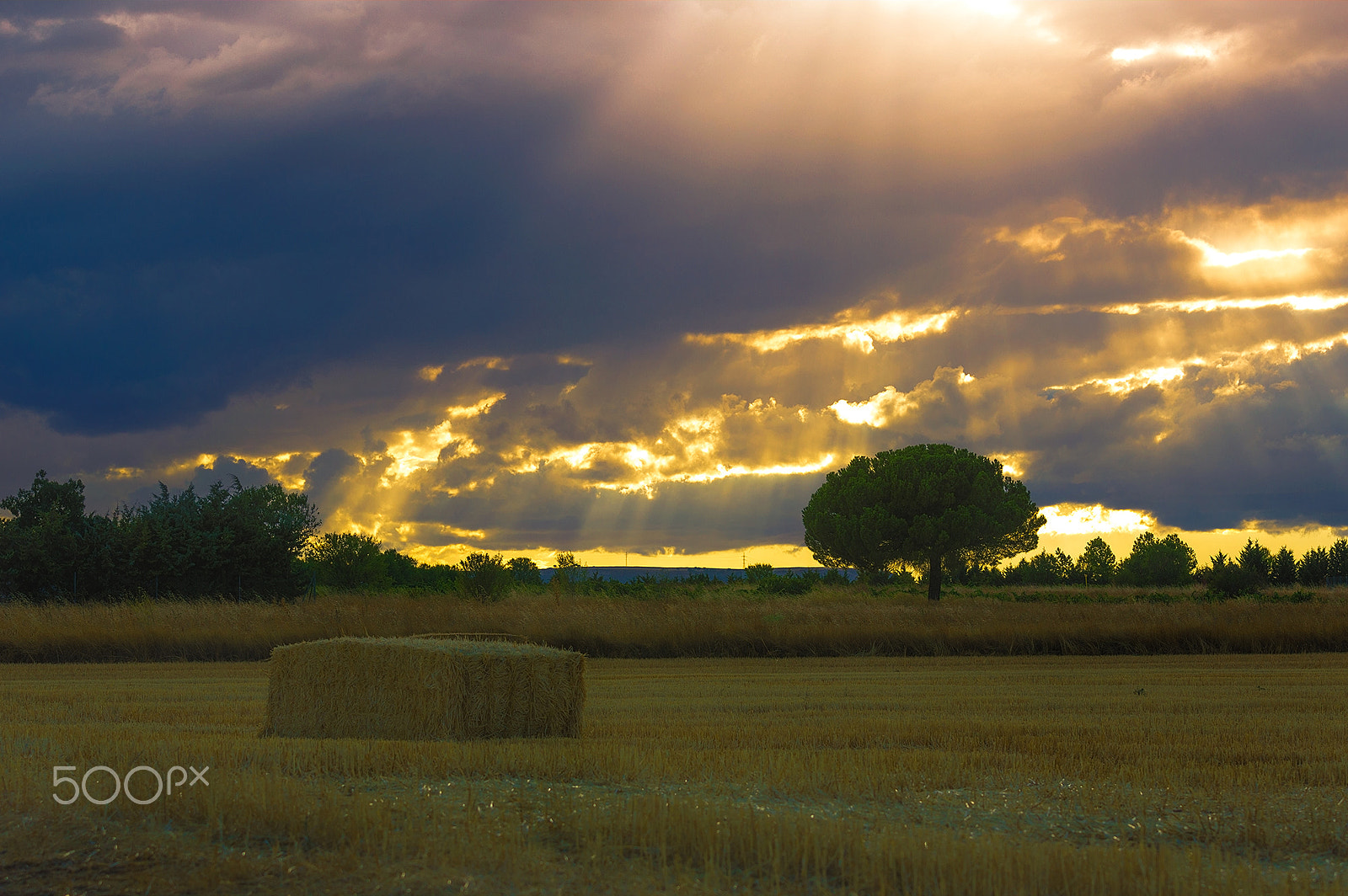 Sigma 70-200mm F2.8 EX DG OS HSM sample photo. Sun rays photography
