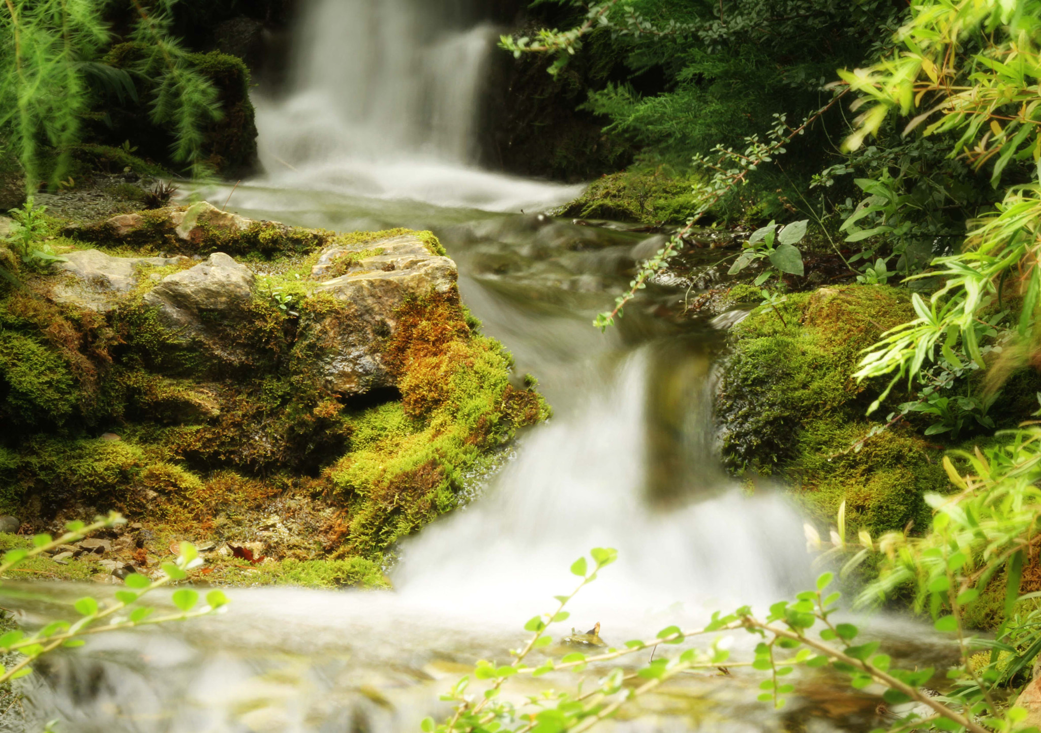 Canon EF 180mm F3.5L Macro USM sample photo. Silky water photography