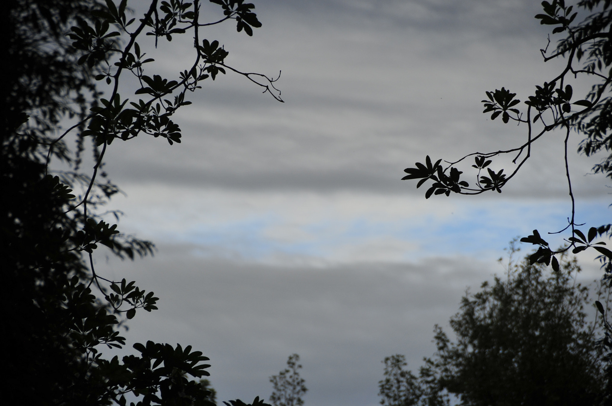 Nikon D3 sample photo. .. photography