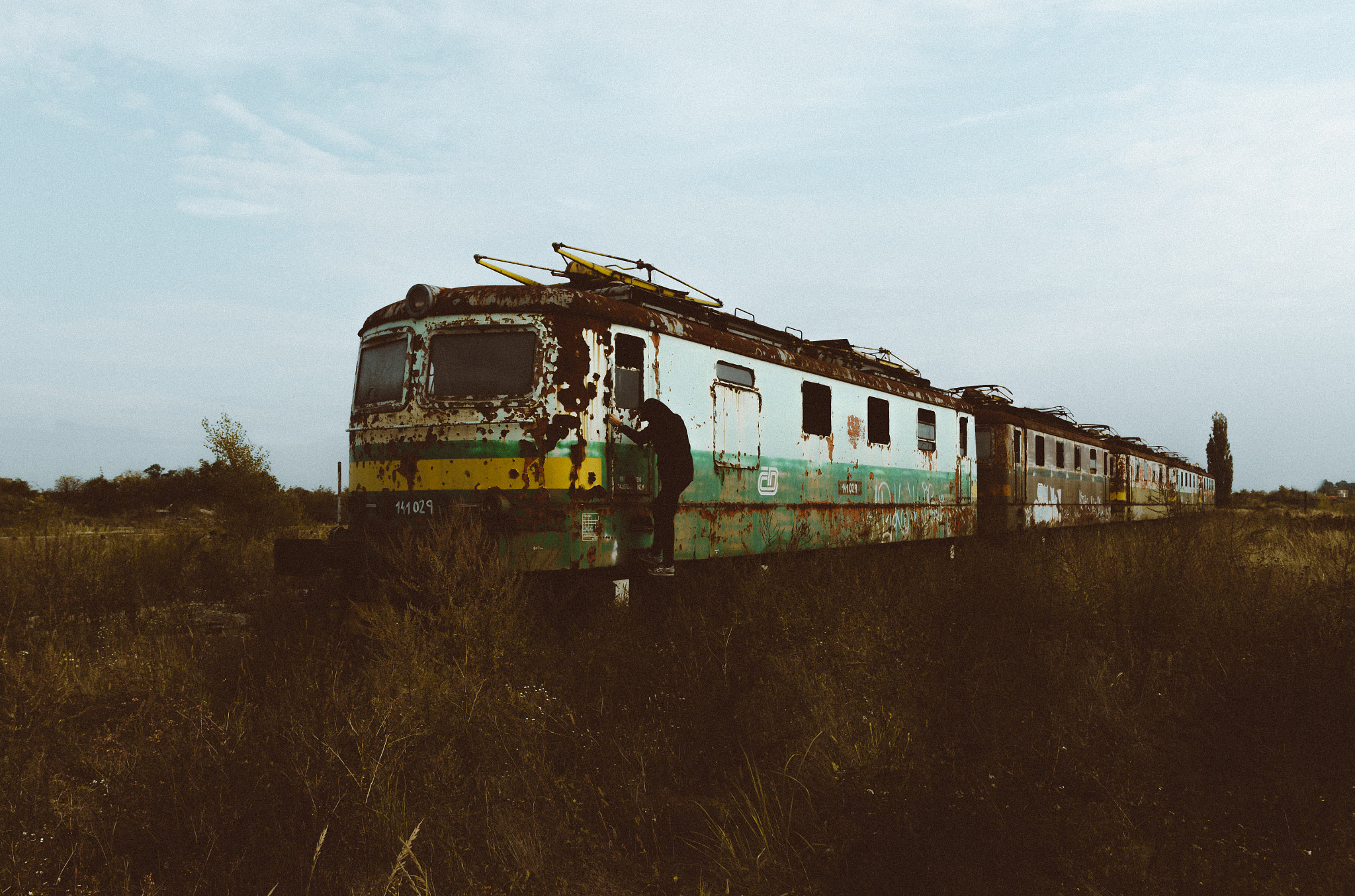 Nikon D5100 + Sigma 18-35mm F1.8 DC HSM Art sample photo. Abandoned train photography