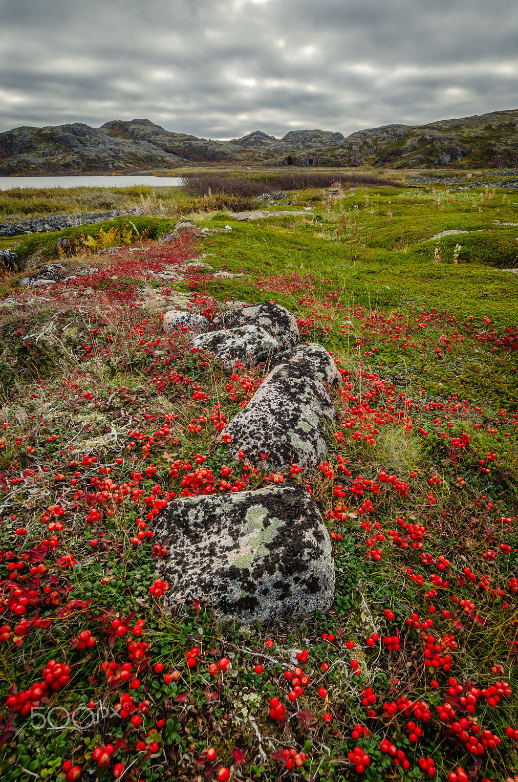Samyang 14mm F2.8 ED AS IF UMC sample photo. Tundra photography