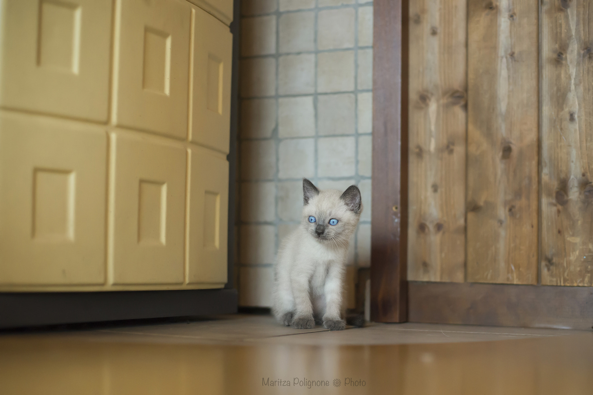 Sony a99 II + Minolta AF 50mm F1.4 [New] sample photo. Messo all'angolo photography