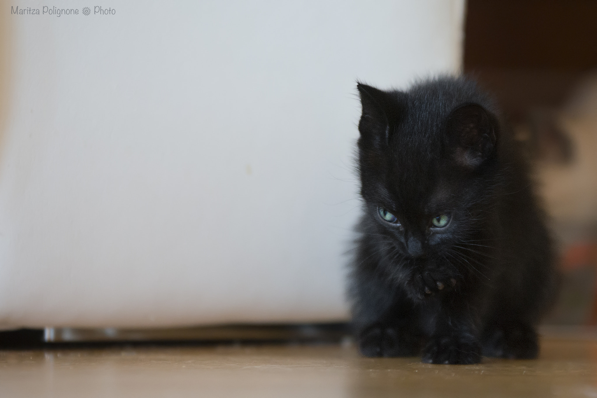 Sigma 70-200mm F2.8 EX DG Macro HSM II sample photo. Devil photography